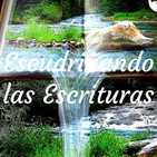 0009 - Esperando su venida