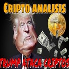 TRUMP ATACA AL BTC Y LIBRA! Razones detras del ataque