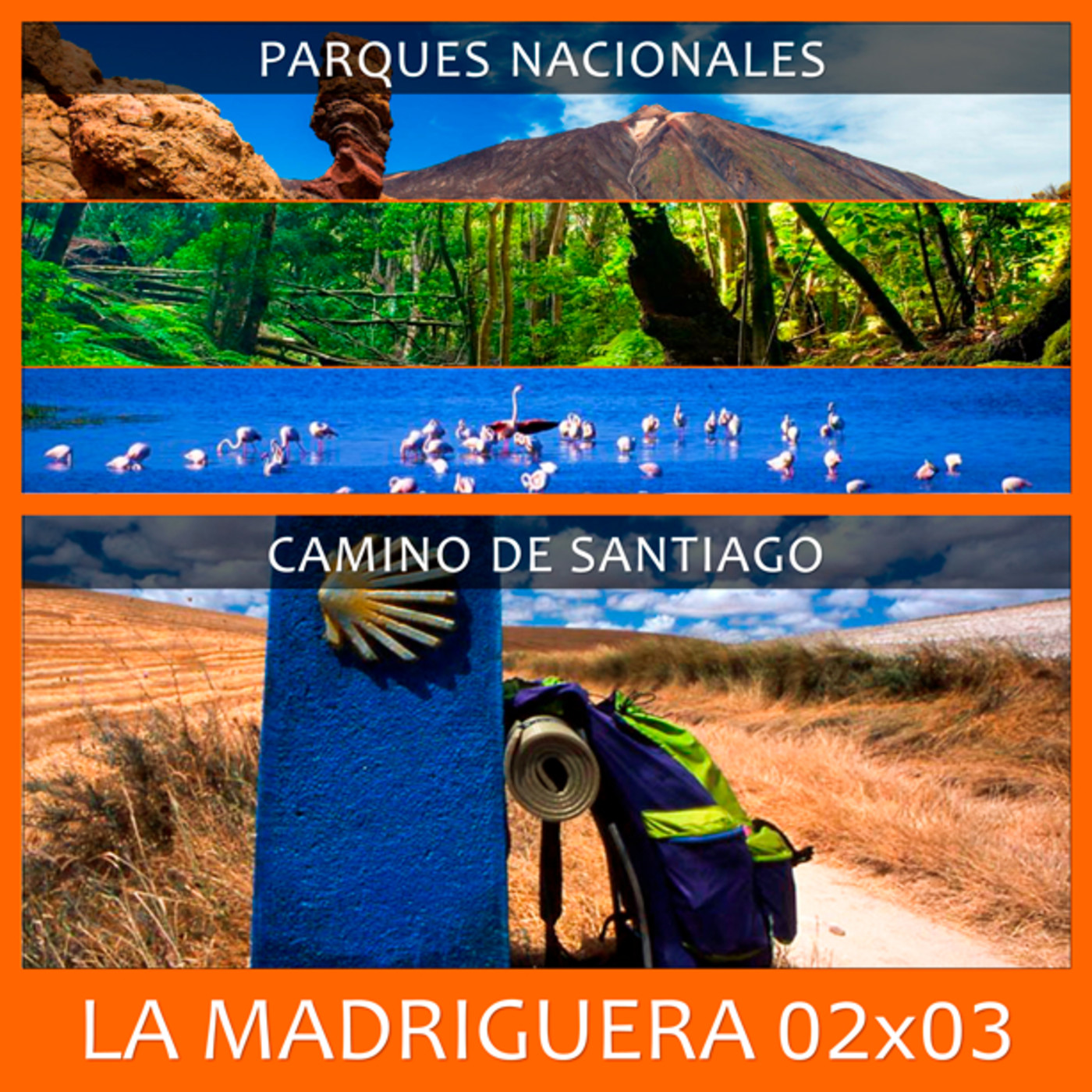 LA MADRIGUERA