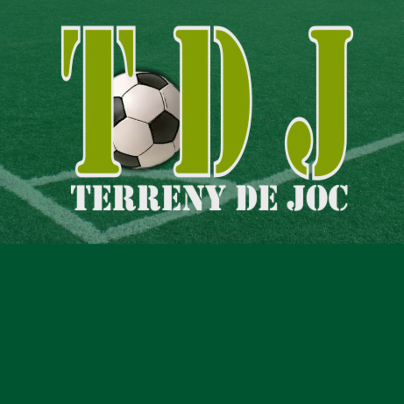 Terreny de Joc 2.0