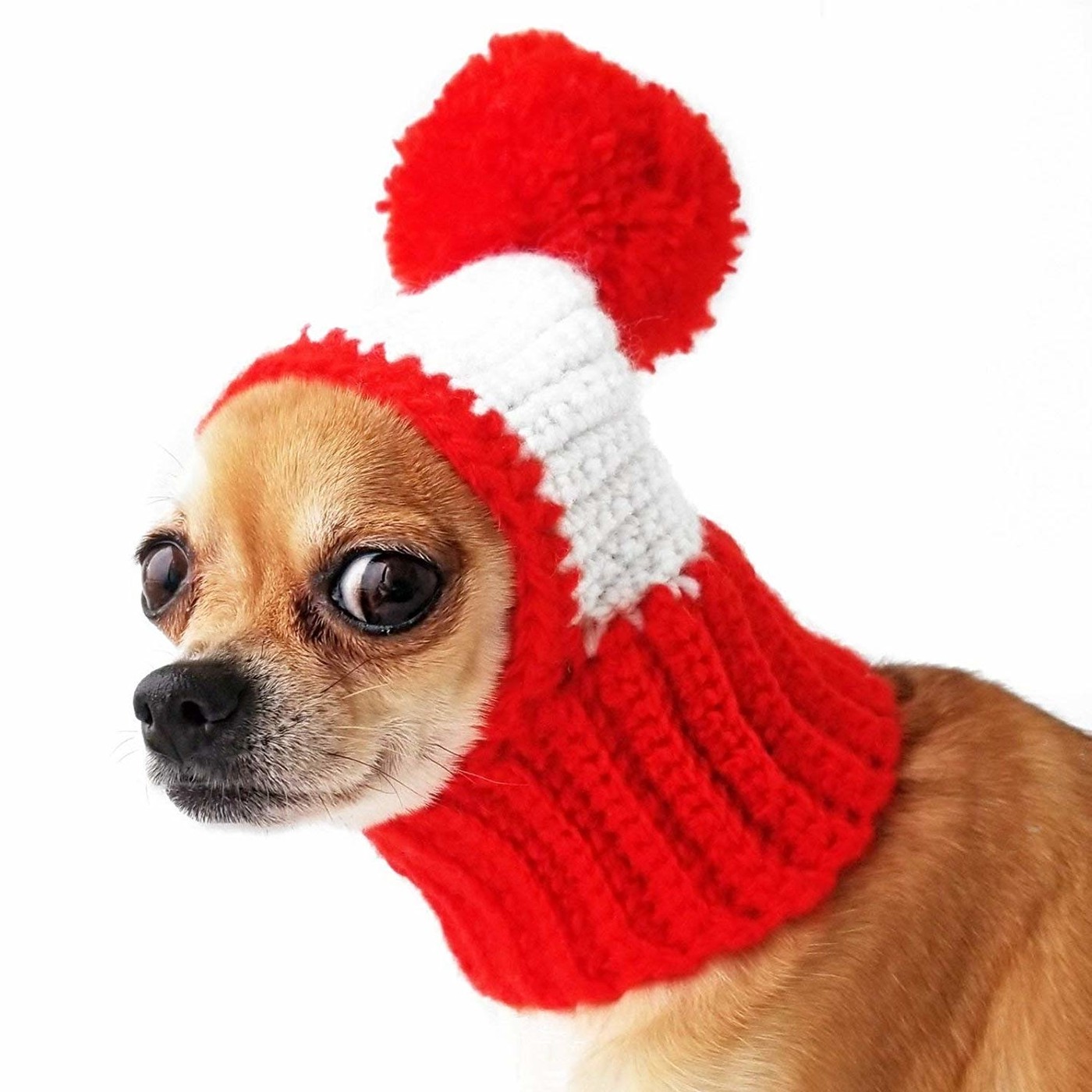 The Pawcast
