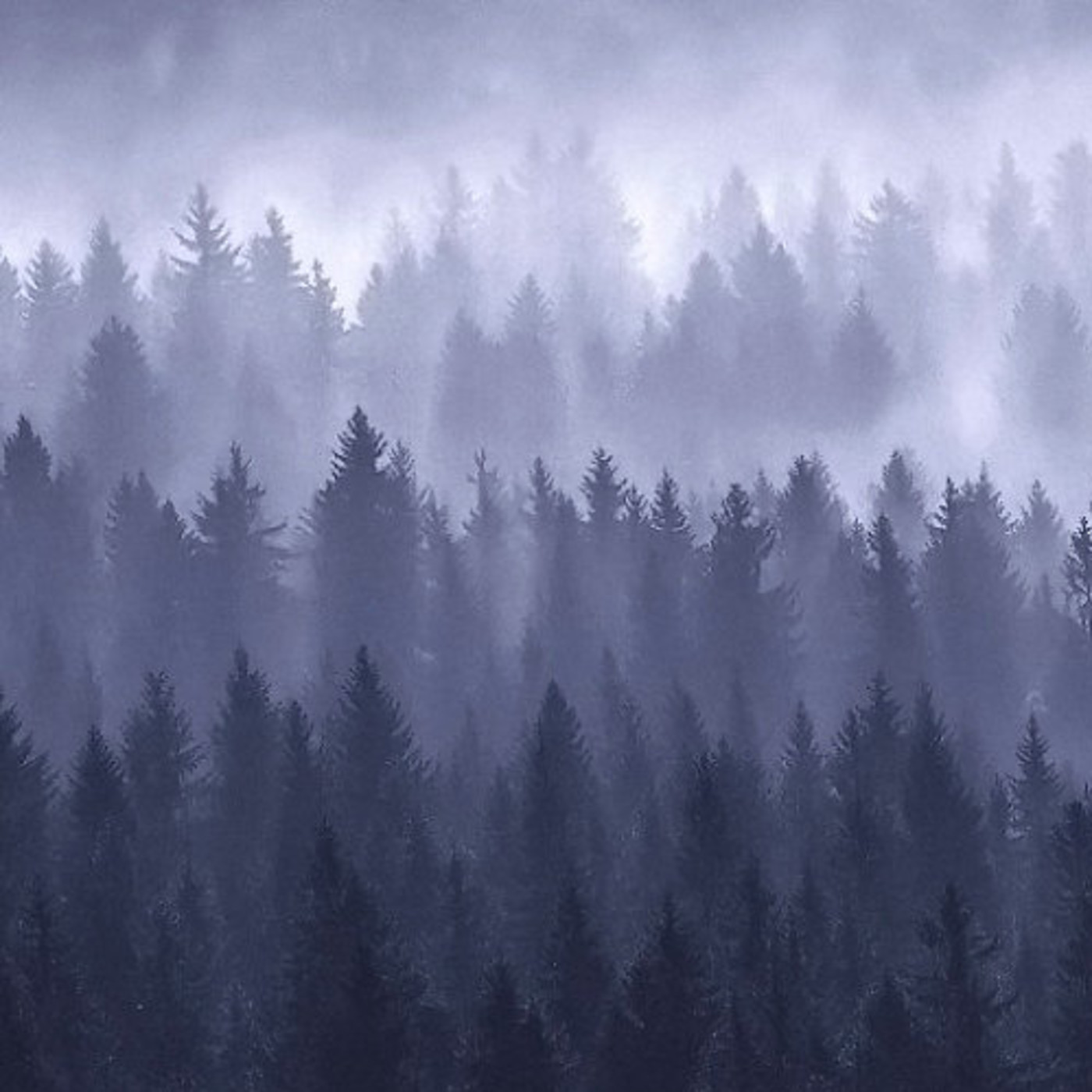 La Hora Oscura T3P17: "Enclaves para desaparecer: un viaje sin retorno"