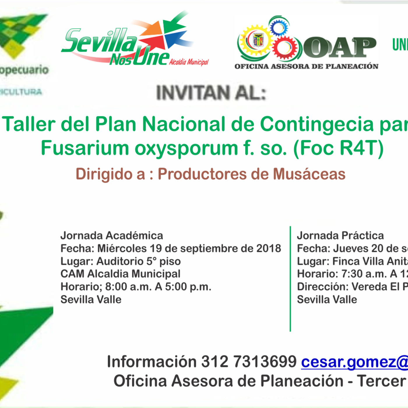 Capsulas informativas 2018