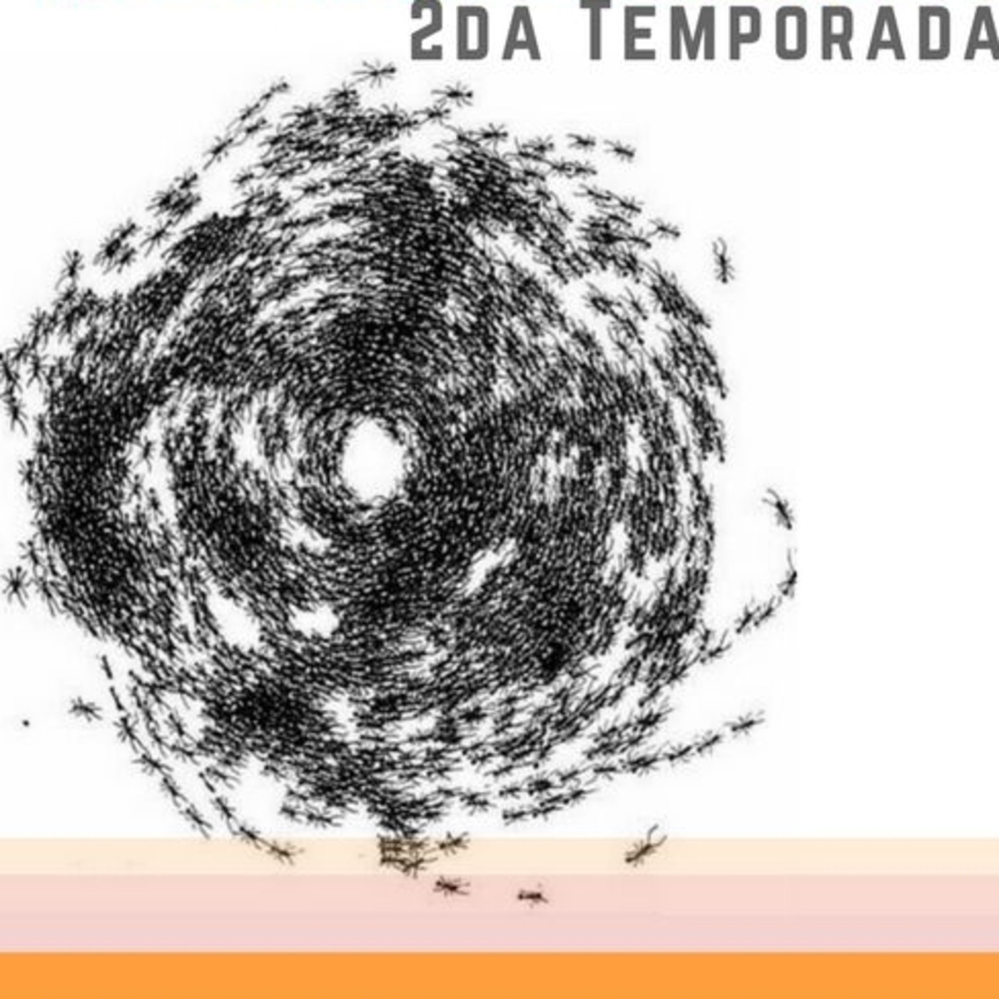 PROGRAMA ESPECIAL 25 DE MAYO