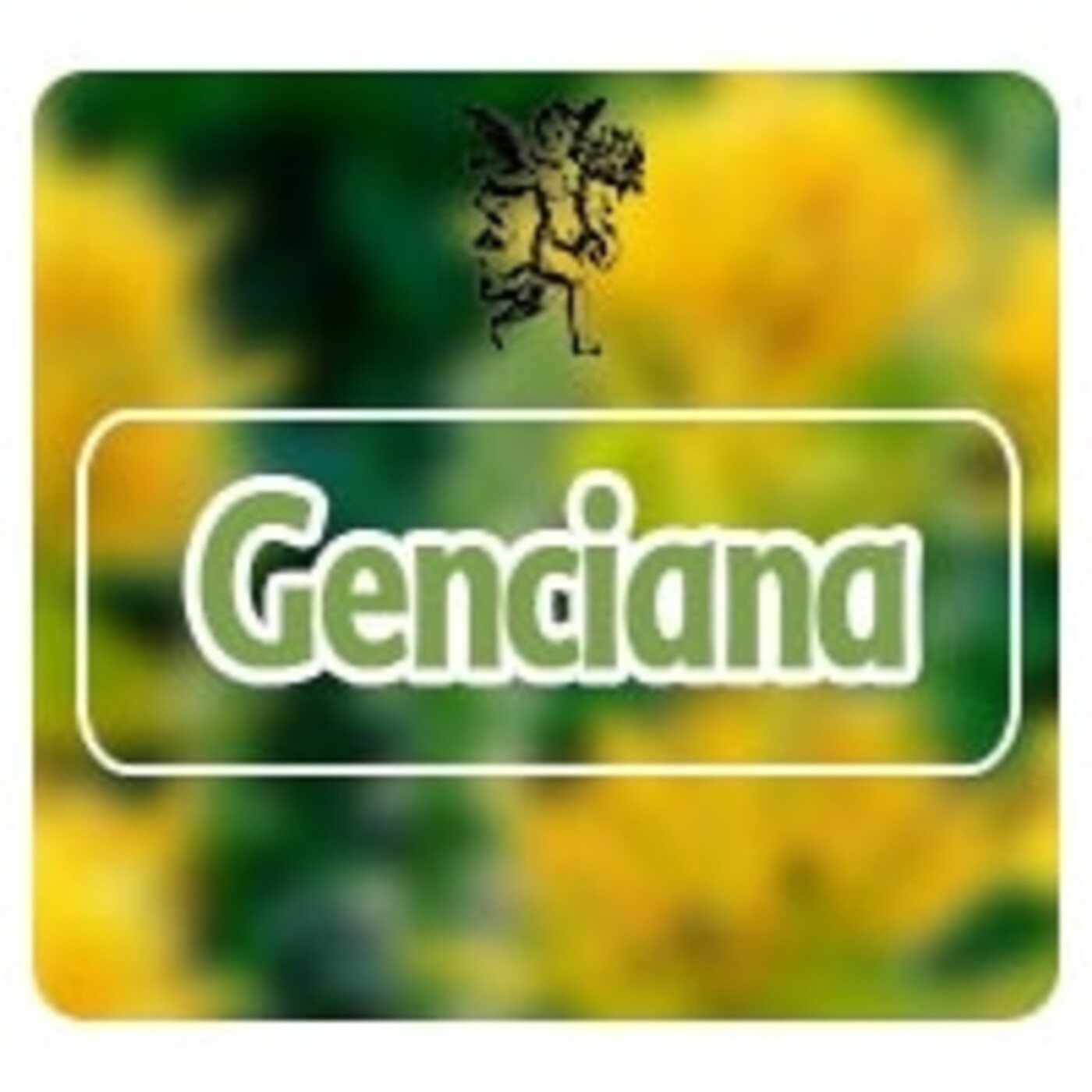 El Ángel de tu Salud - GENCIANA episode artwork