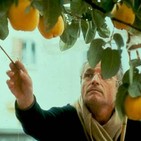 ¿Realidad o ficción? - Proyectos que cruzaban la línea