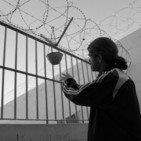 VENTANA ABIERTA: Cárceles y la libertad