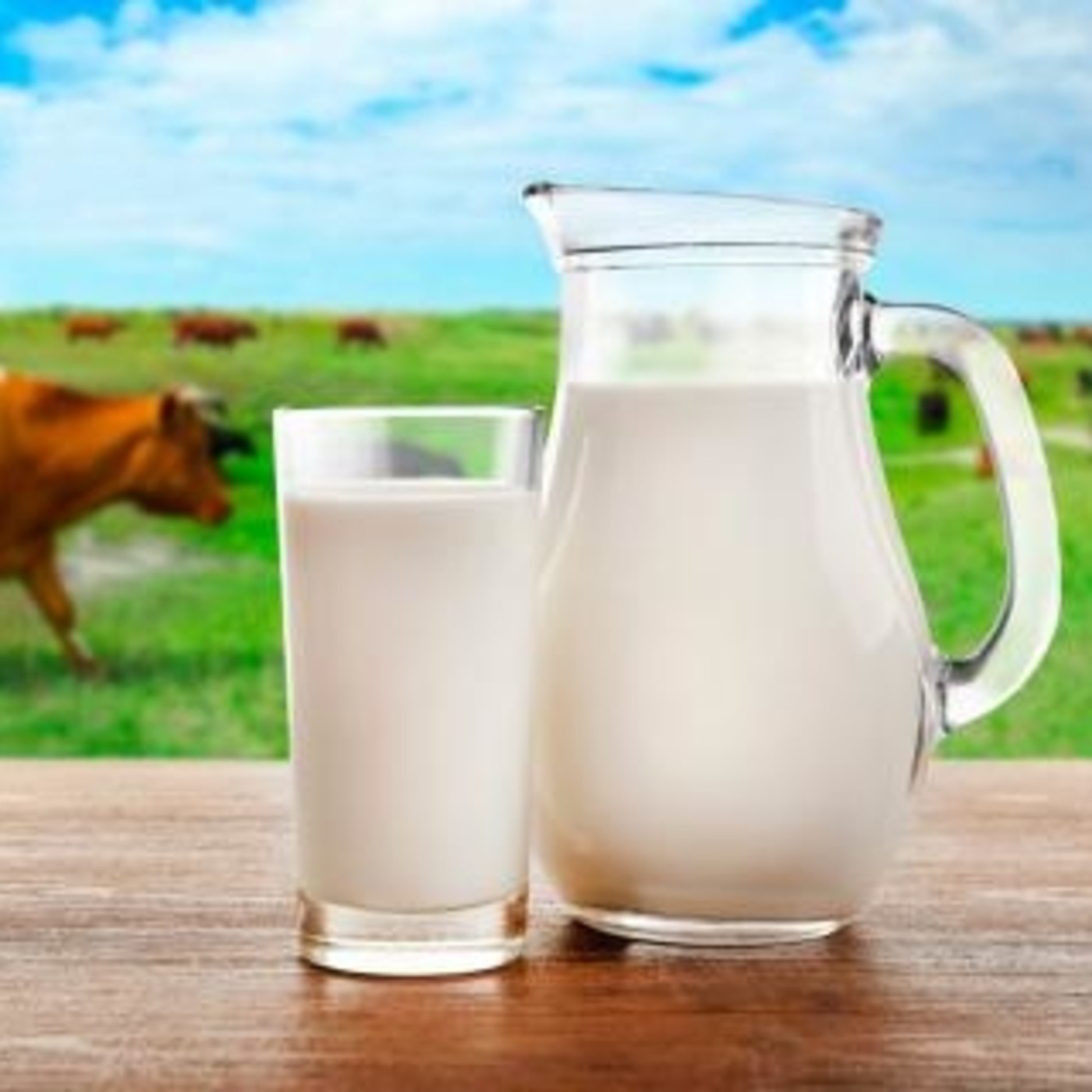 Tarde Interactiva - Nutrición