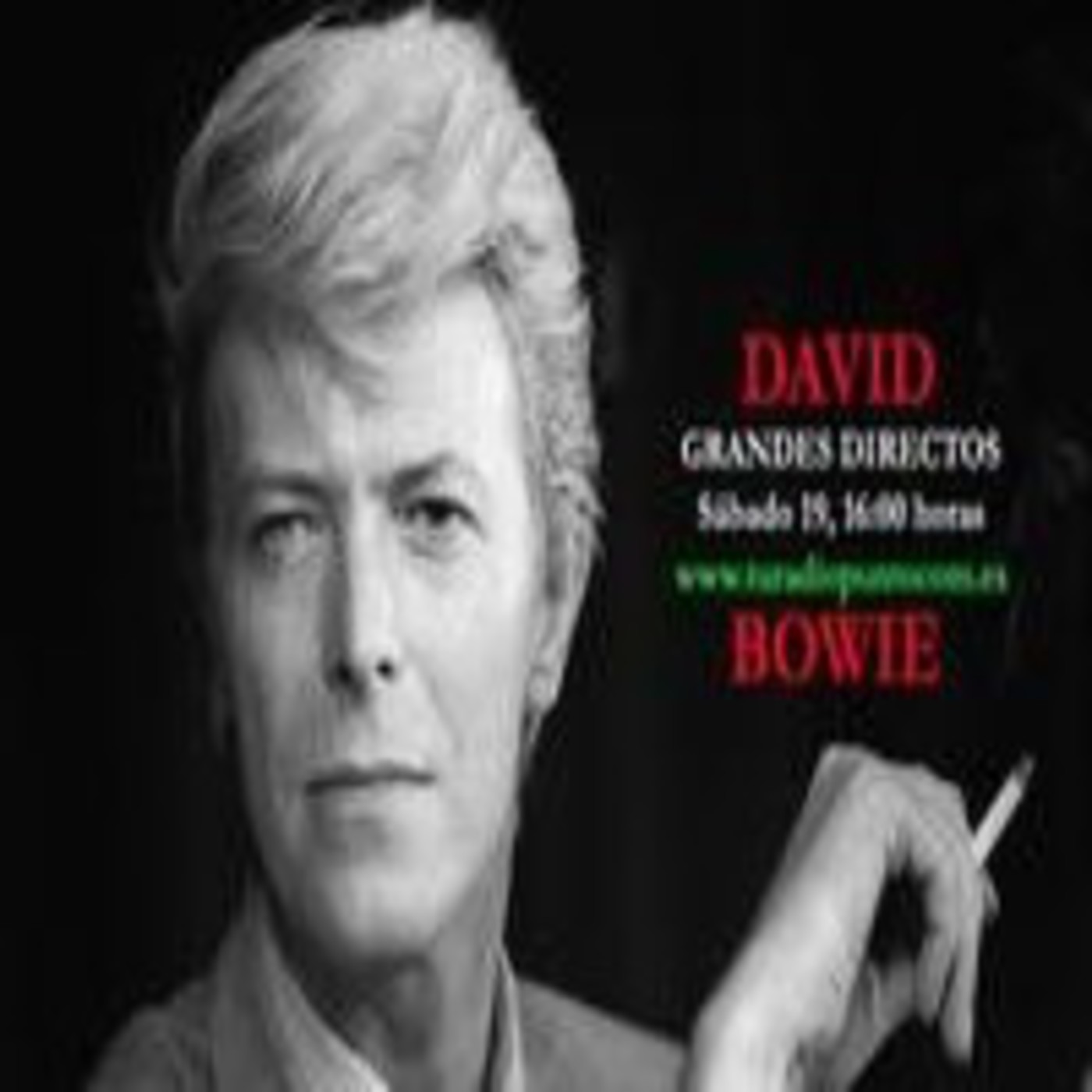 David Bowie Tokyo In Dome (Emisión 19/10/2013) episode artwork