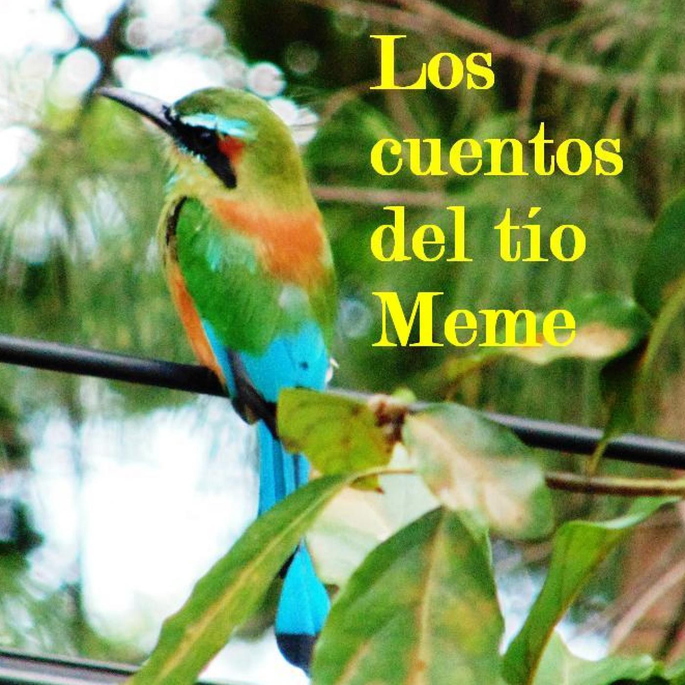 LOS CUENTOS DEL TÍO MEME