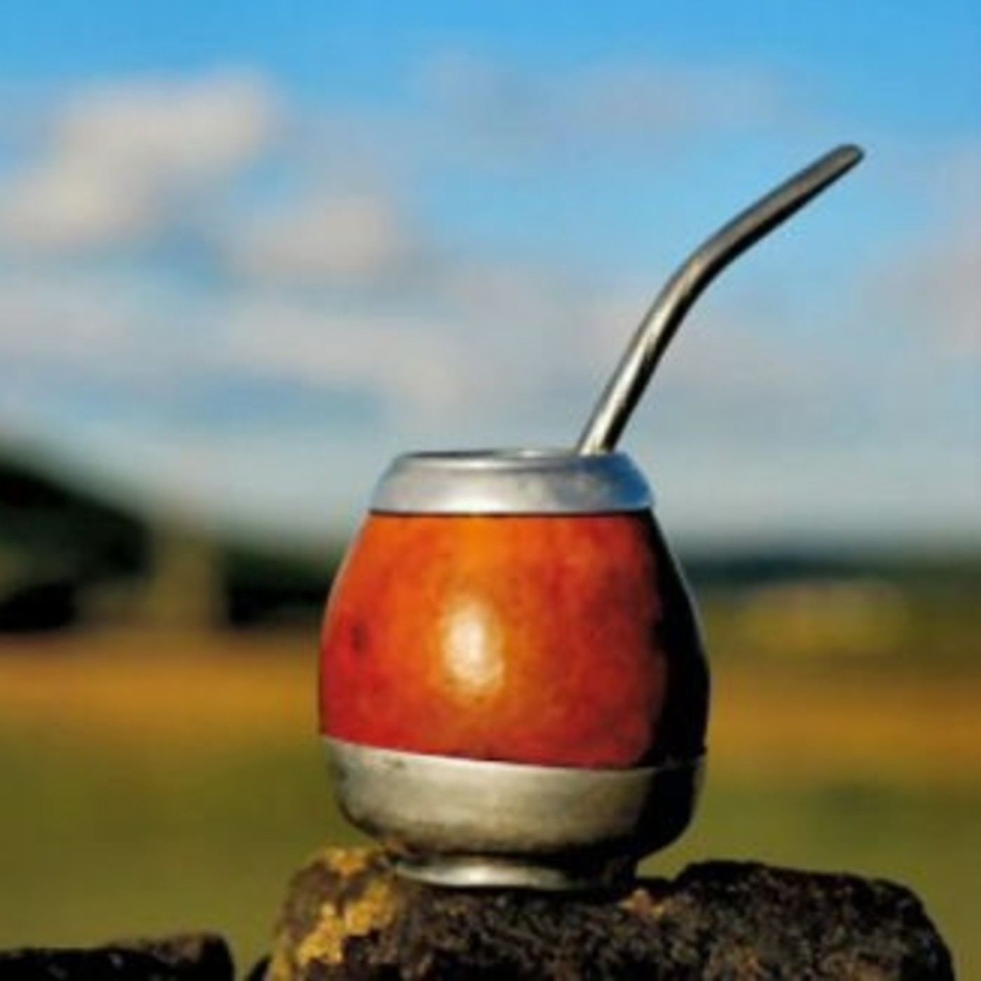 Día Nacional del Mate