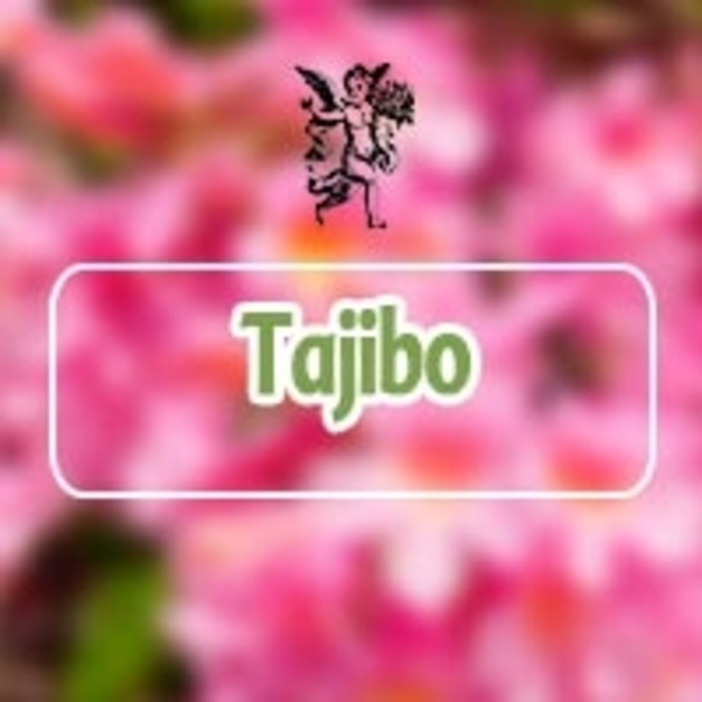 El Ángel de tu Salud - TAJIBO*