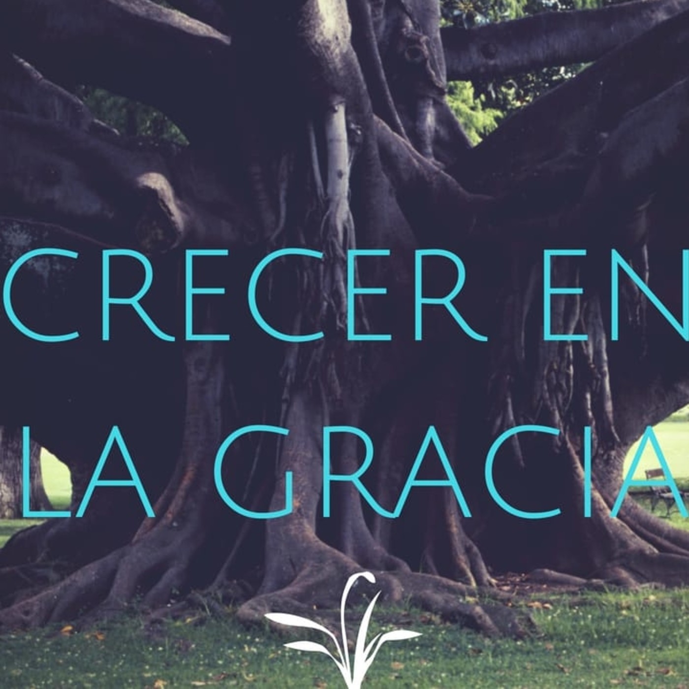 Crecer en la Gracia 9 Depender de Su Gracia - Pastor Kenneth Solá episode artwork