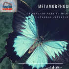 metamorphosis Kurt Cobain 25 de septiembre de 2019