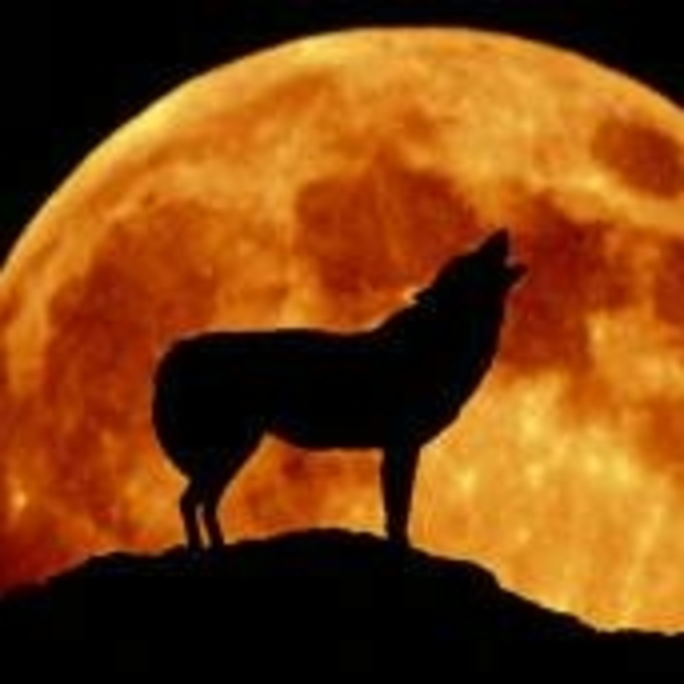 El poderoso influjo de la Luna. Rebobinando episode artwork
