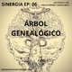 SINERGIA 06 Árbol Genealógico