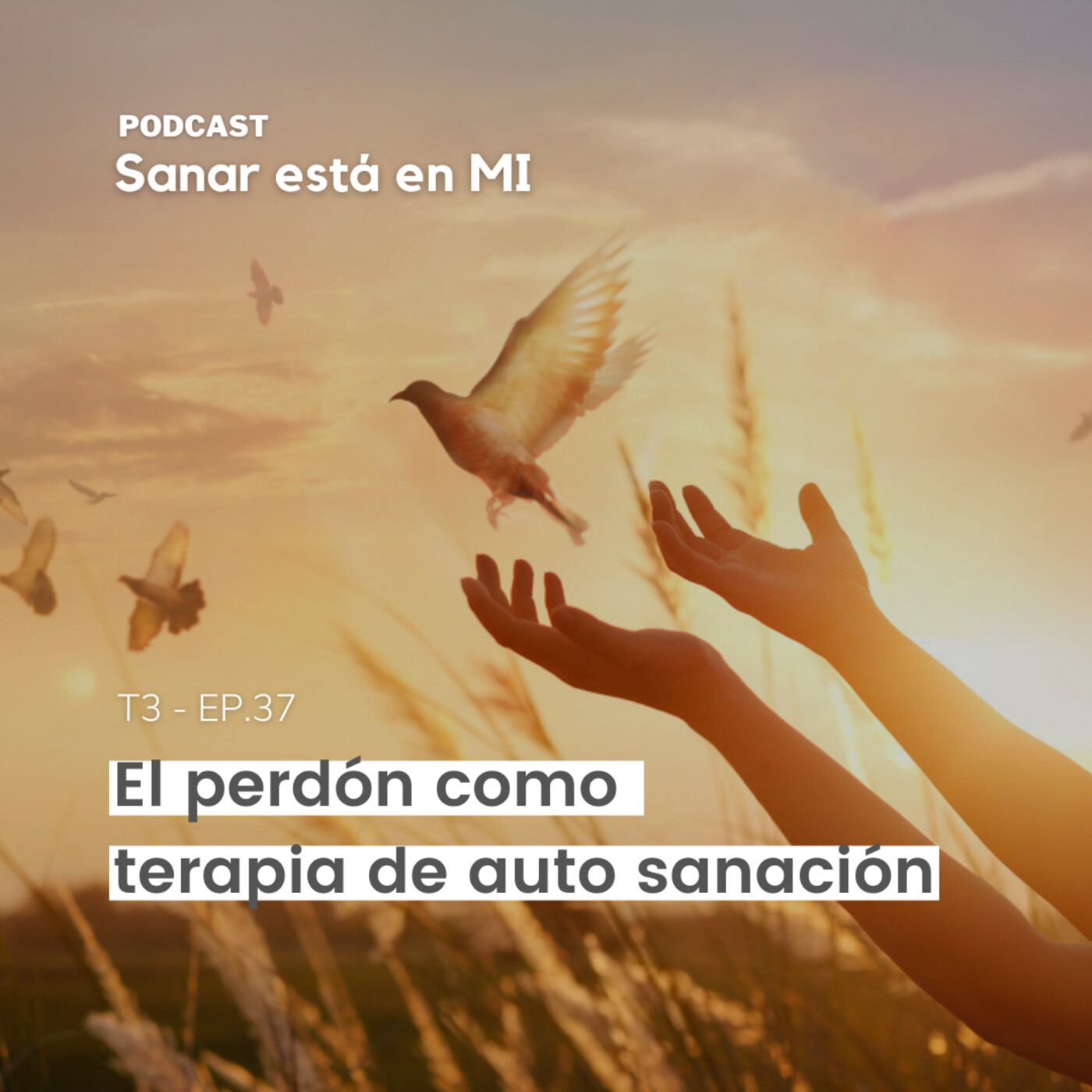 El perdón como terapia de auto sanación T3 - EP.37 episode artwork