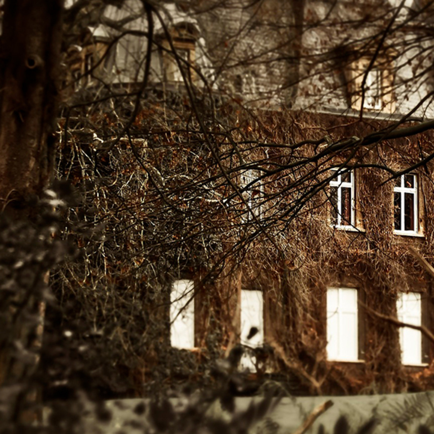 La Casa de la Ruta 5 La Misteriosa Historia