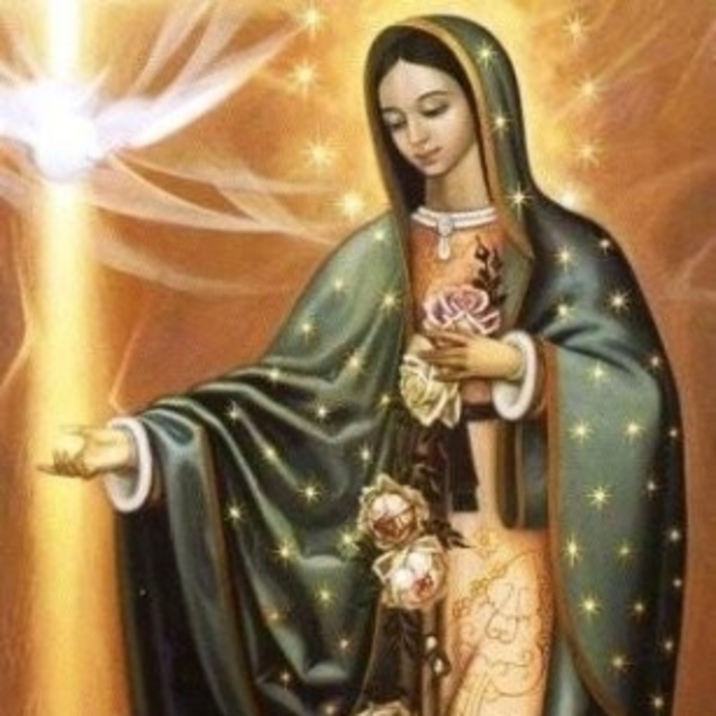 MANTO DE LA VIRGEN. MEDITACIÓN VIRTUDES