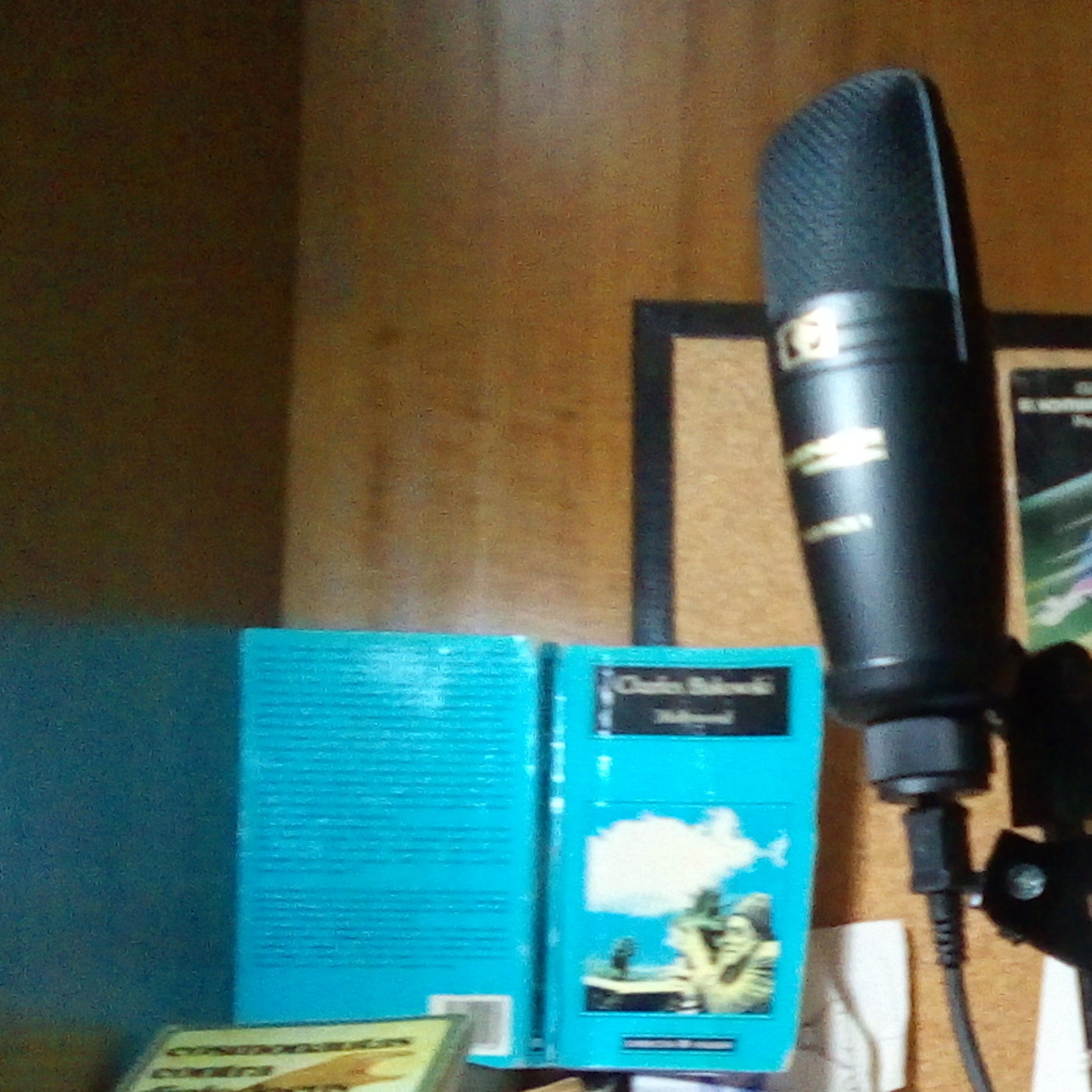 Audiolibros del Bati
