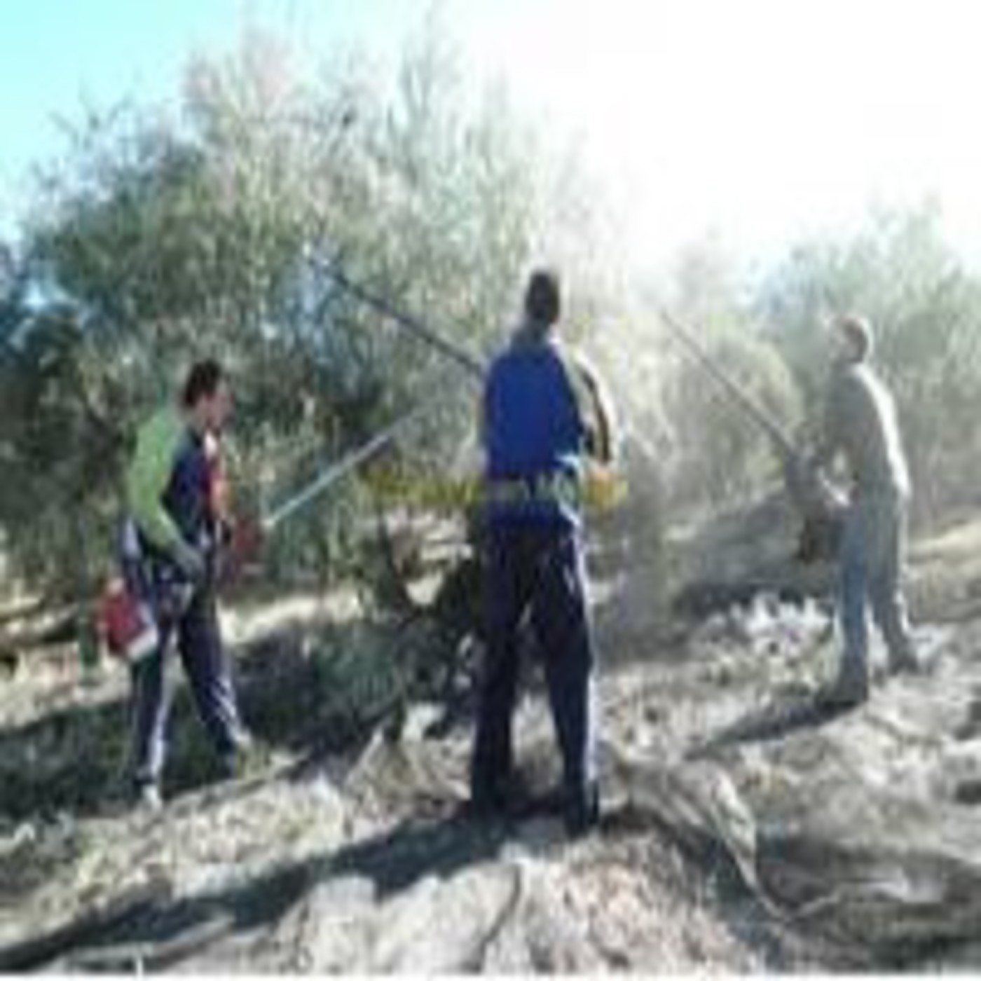 Podcast CLUB*25 RADIO TORREDELCAMPO