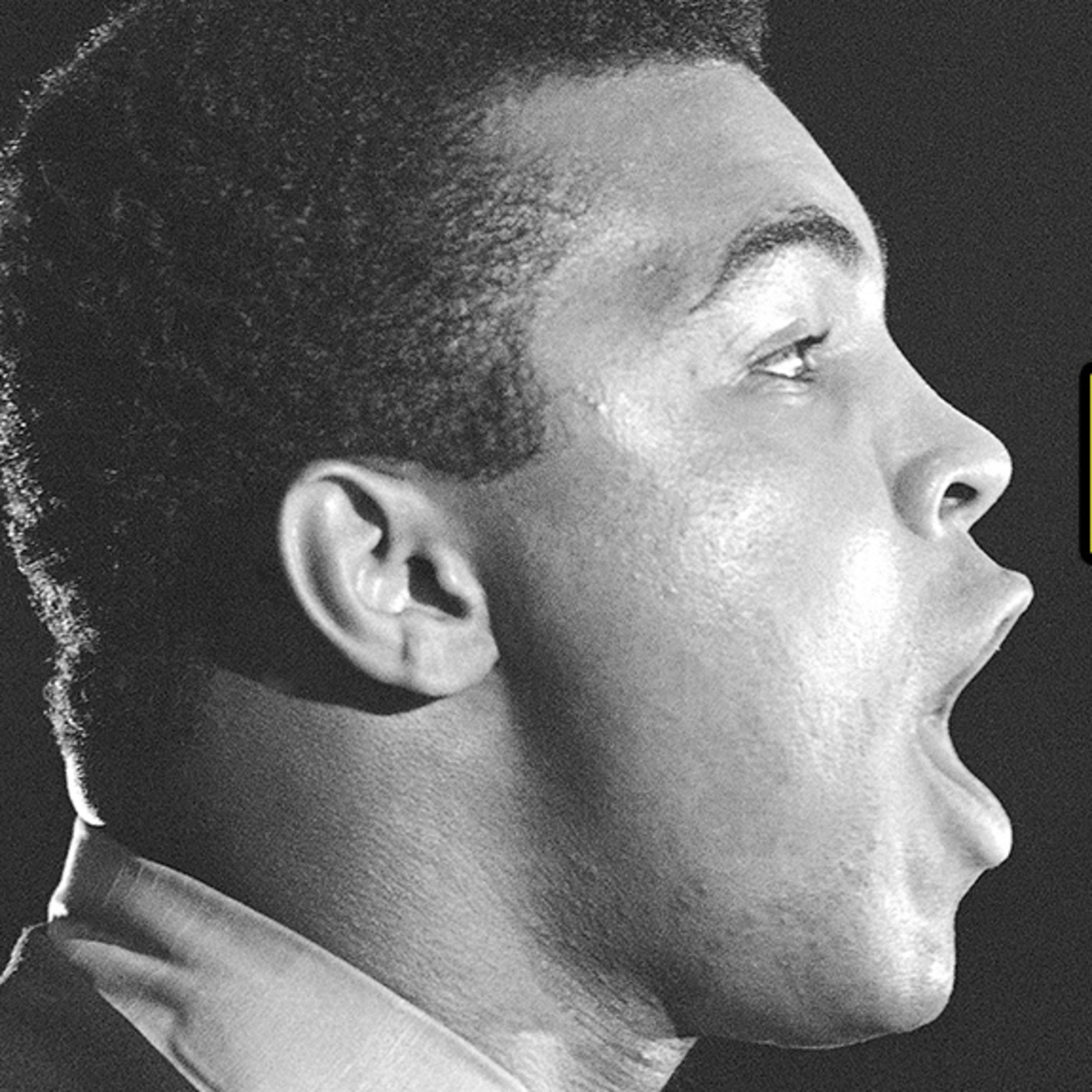 Planeta Deporte Radio