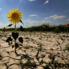 Informe Enigma - Verdades y mentiras sobre el cambio climático