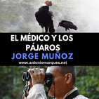 El Médico y los Pájaros