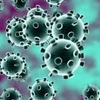 #56 Coronavirus en CanZam