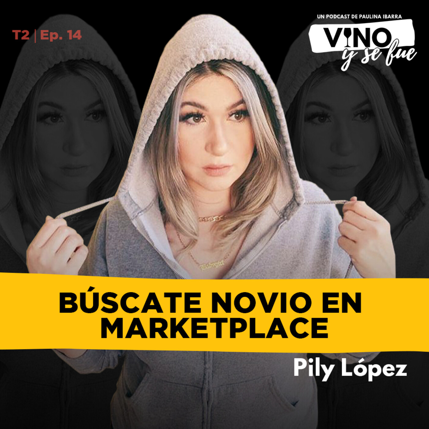 Vino y se fue