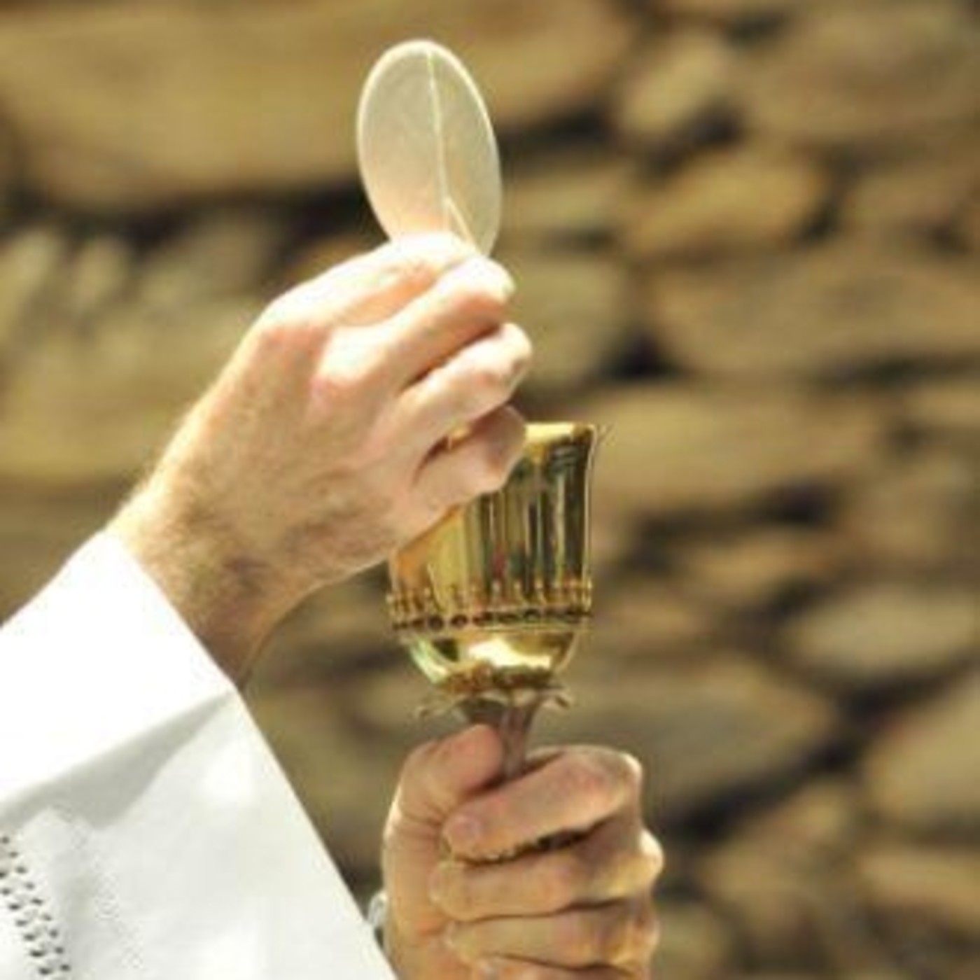 Misionero en Acción