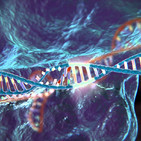La Brújula de la Ciencia s04e34: CRISPR/Cas9, del sistema inmune de las bacterias a la edición del genoma