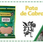 El Ángel de tu Salud - PATA DE CABRA*