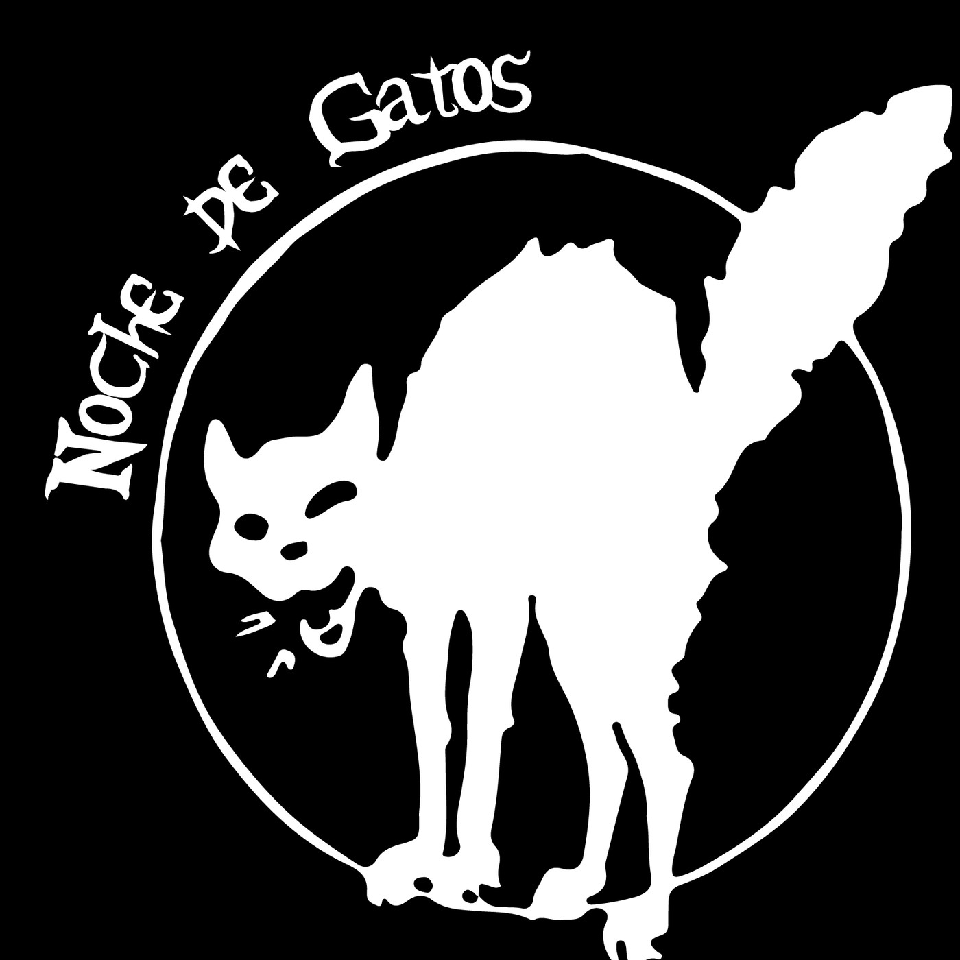 Noche de Gatos