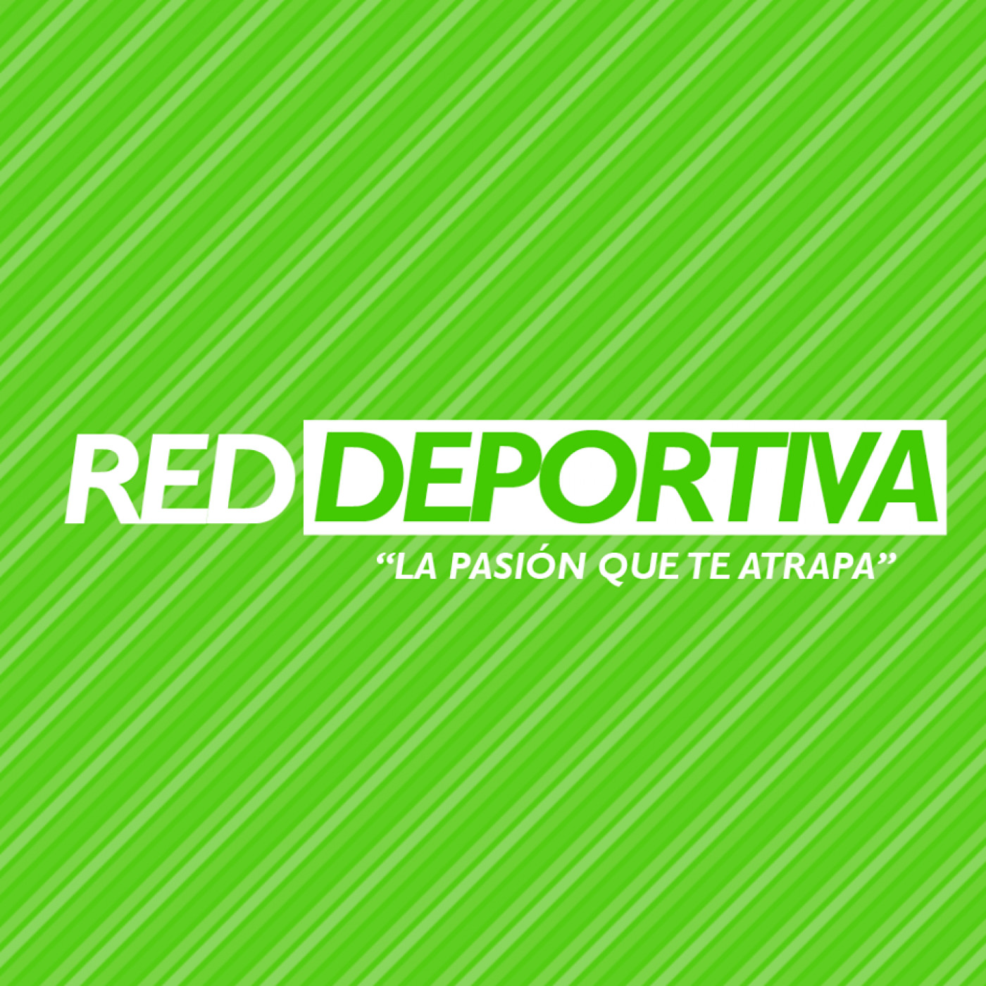 Partidos PrimeraB