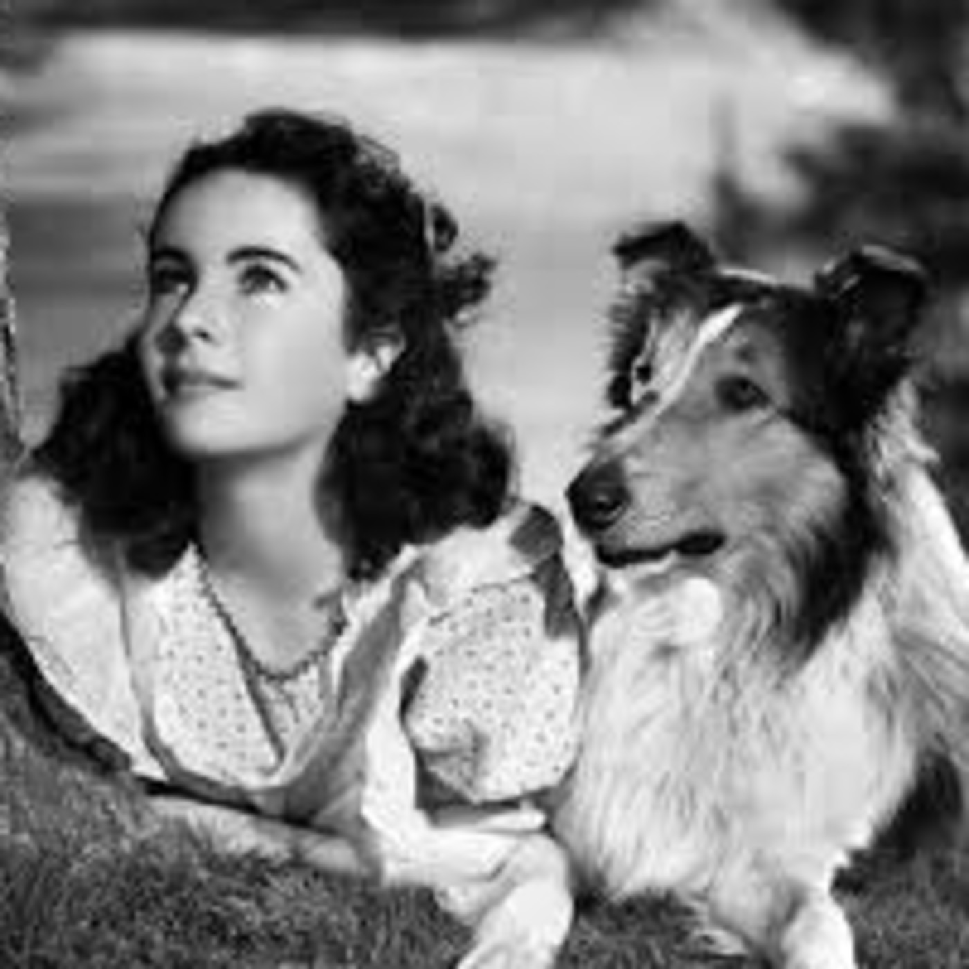 16 Novenos - La frecuencia del cine