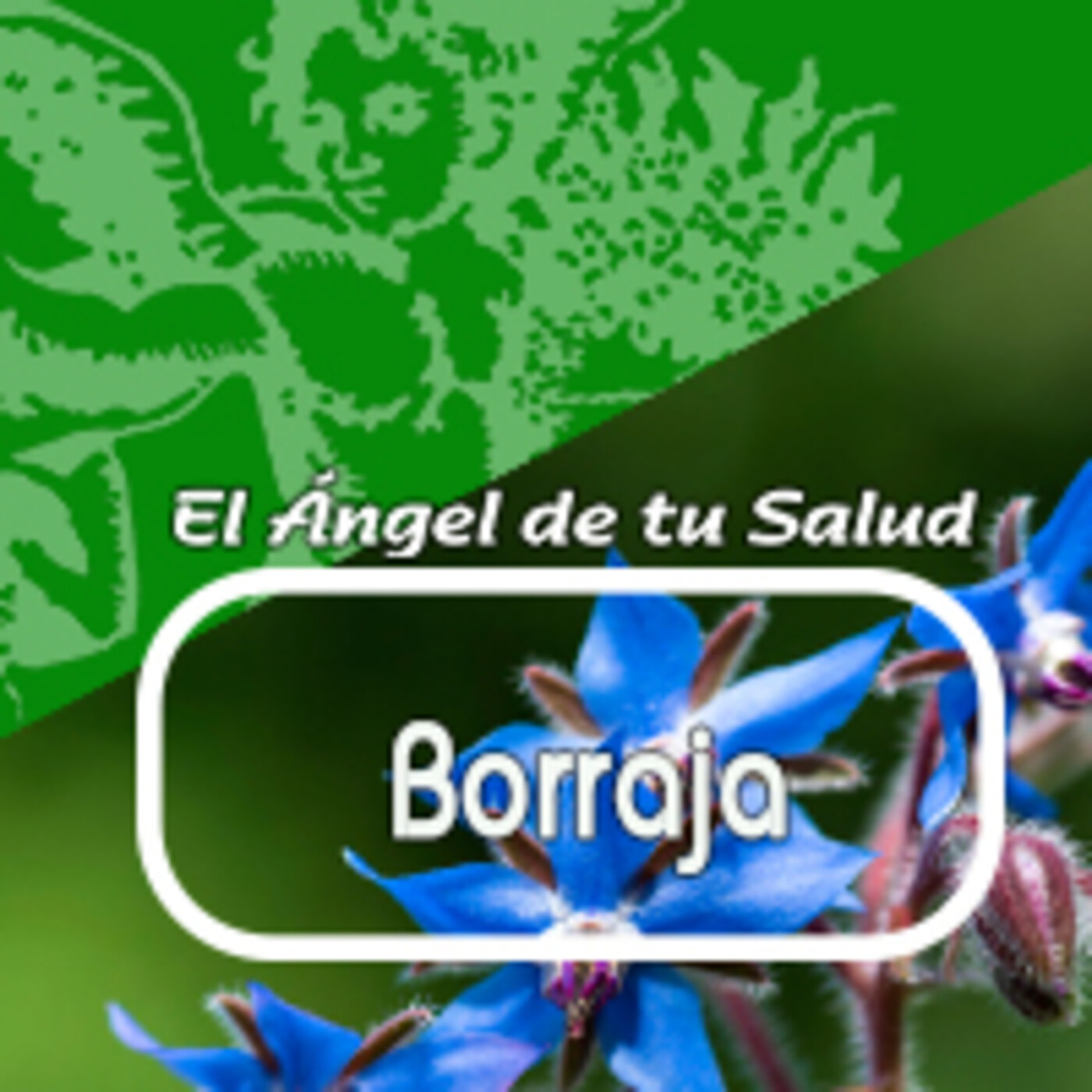 El Angel de tu Salud - BORRAJA* episode artwork