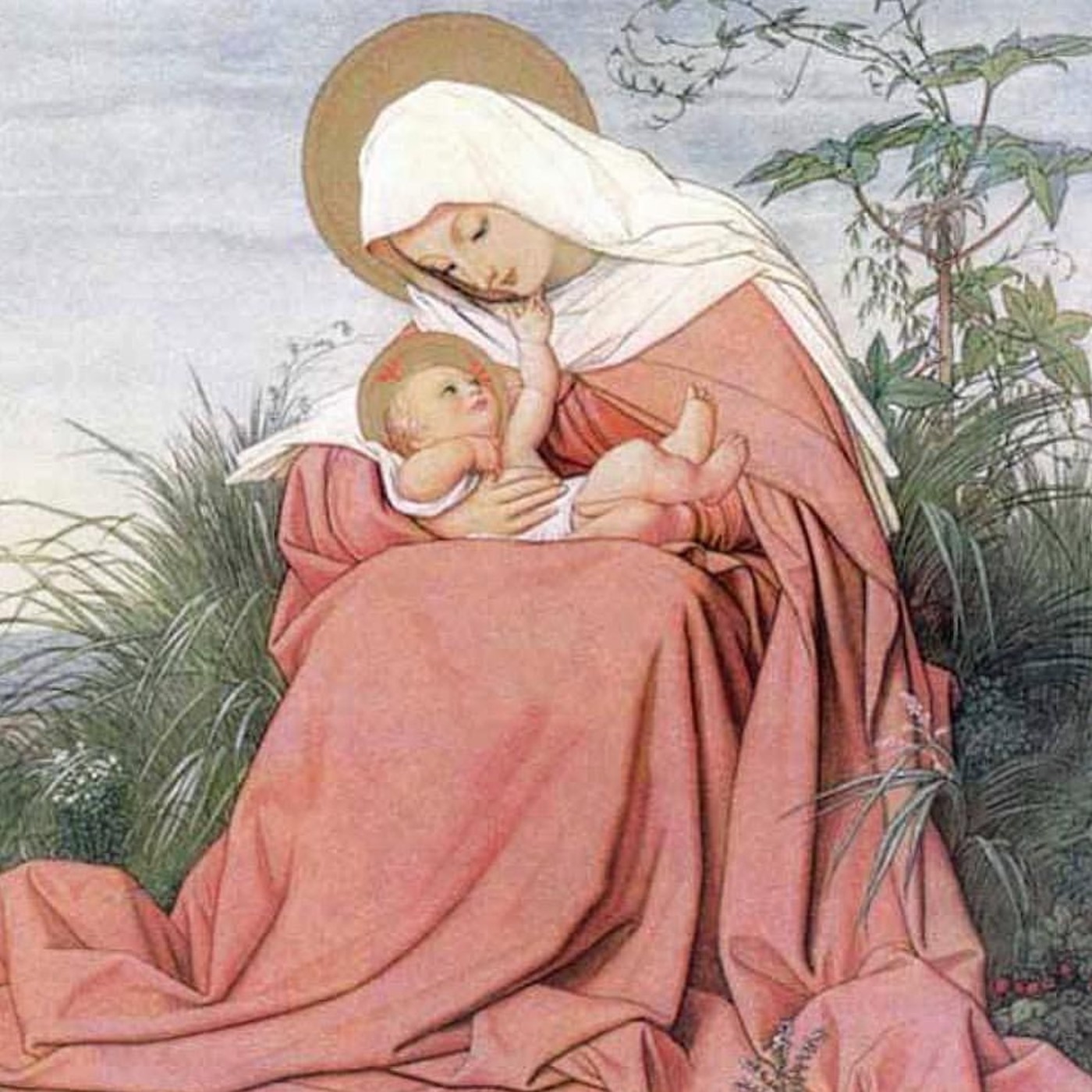 Oasis de María Inmaculada - Homilías