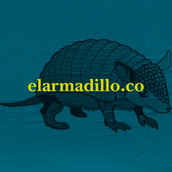 embed image