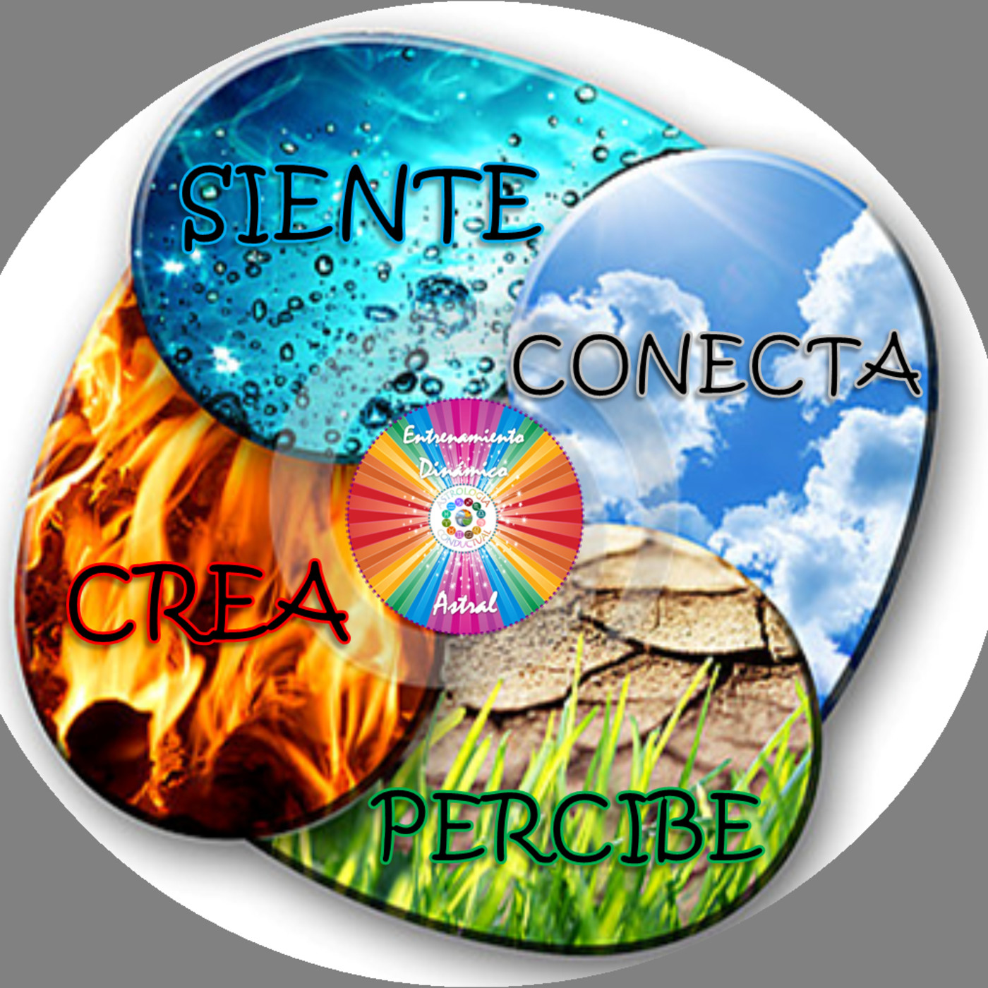 4 ELEMENTOS ASTROLOGÍA CONDUCTUAL