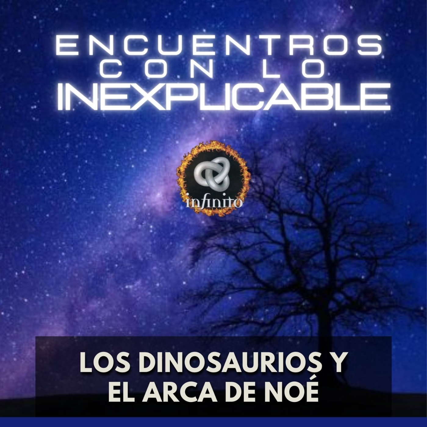 Encuentros con lo Inexplicable - Los Dinosaurios y el Arca de Noé episode artwork
