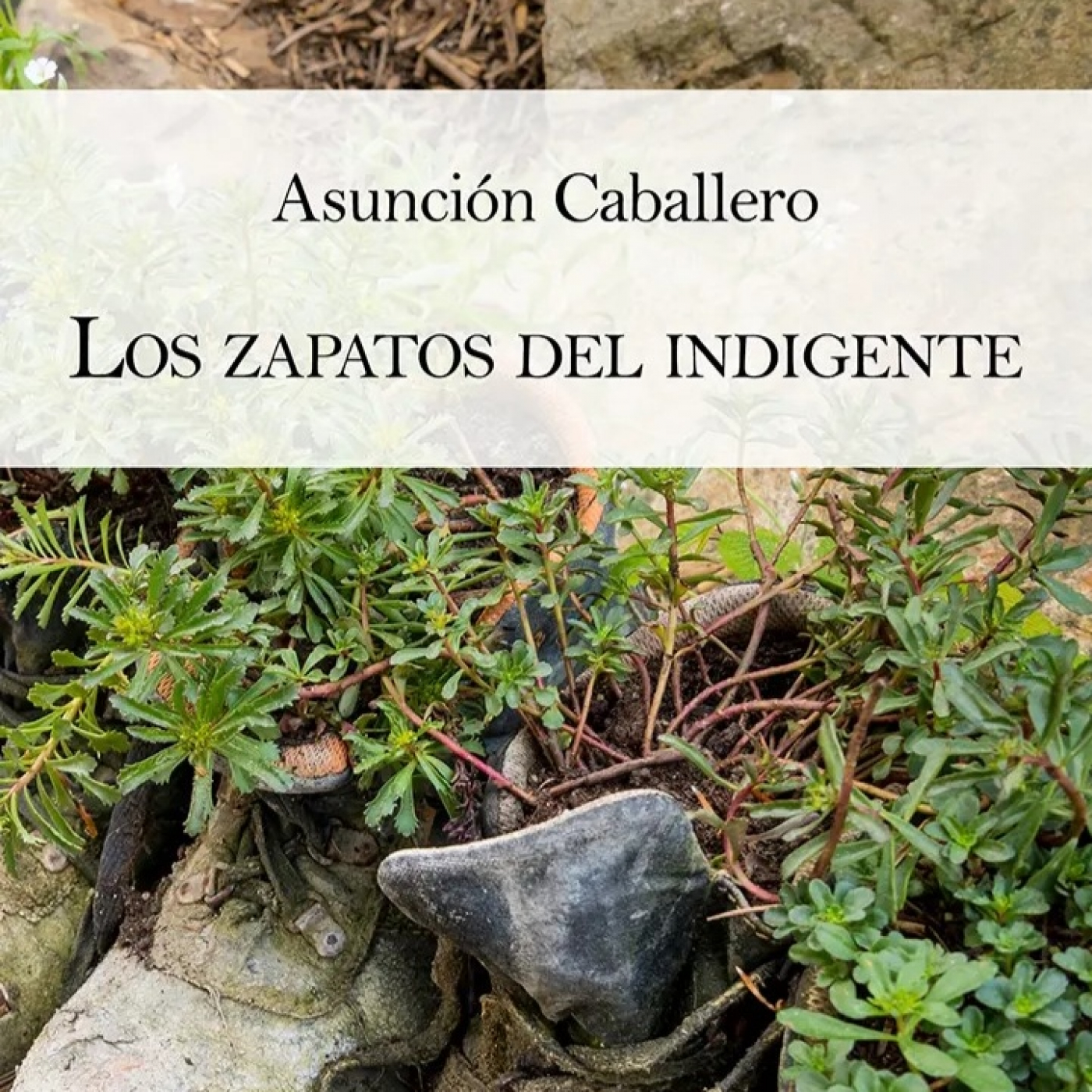 Podcast de Asunción Caballero -Mascab-