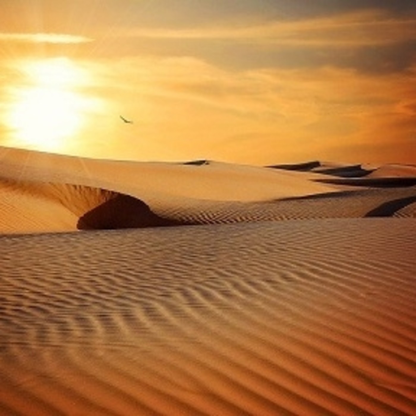 Desiertos, ríos y mares