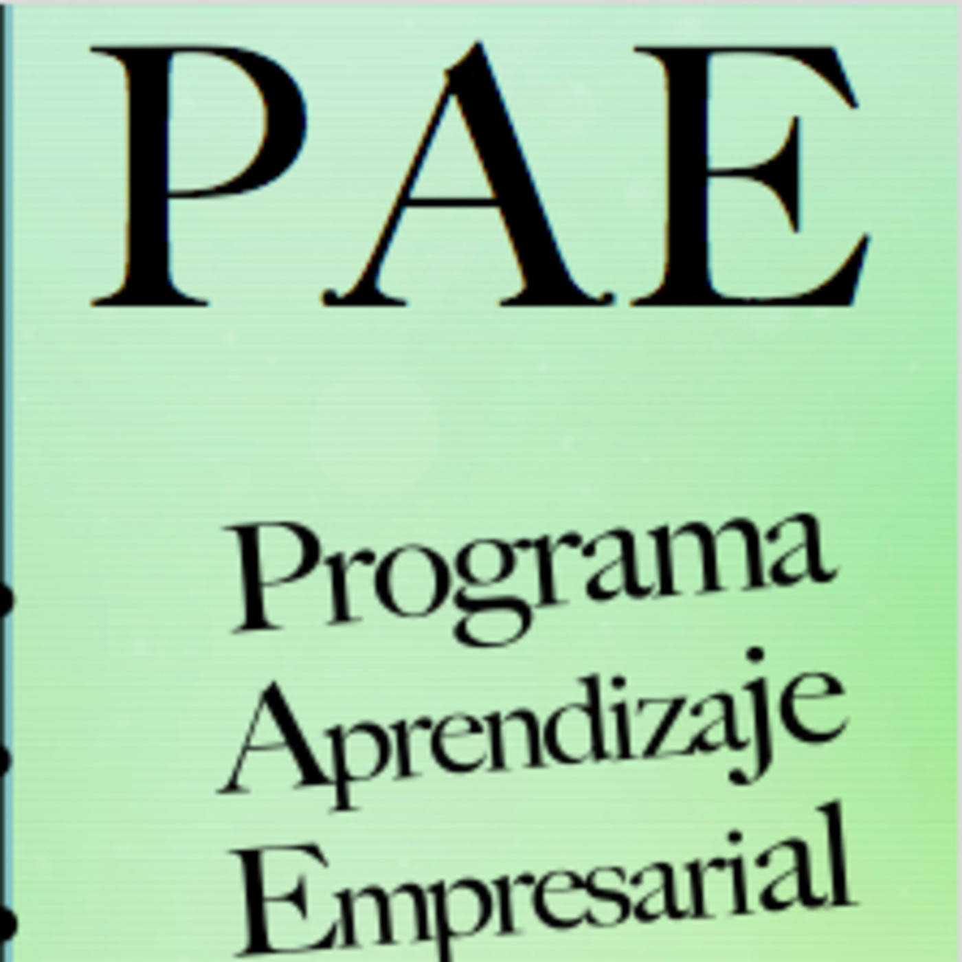 PROGRAMA DE APRENDIZAJE EMPRESARIAL - P.A.E
