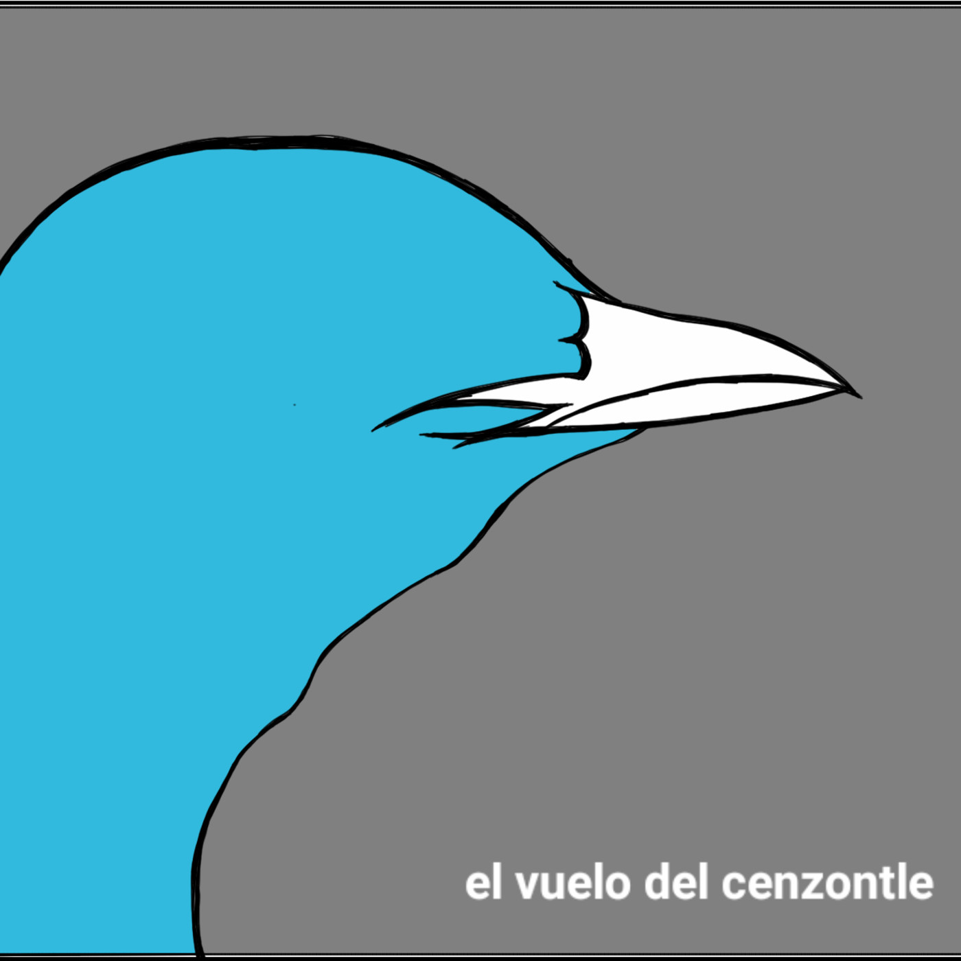 El Vuelo del Cenzontle