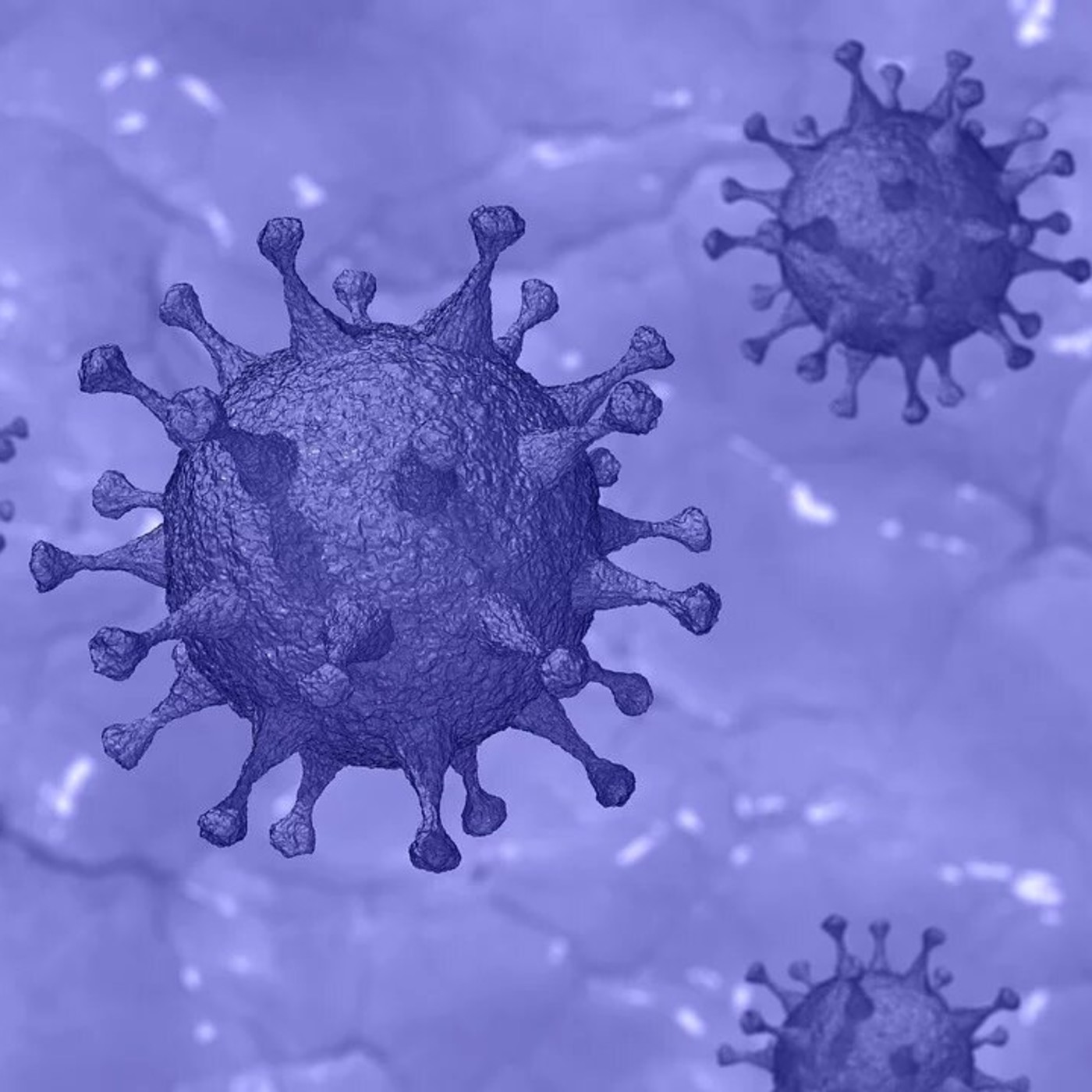 Especials coronavirus