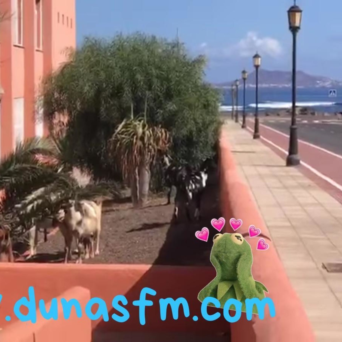 Radio Patio en Dunas FM