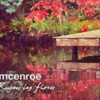 In-Diferent - Indie Pop 2015/16