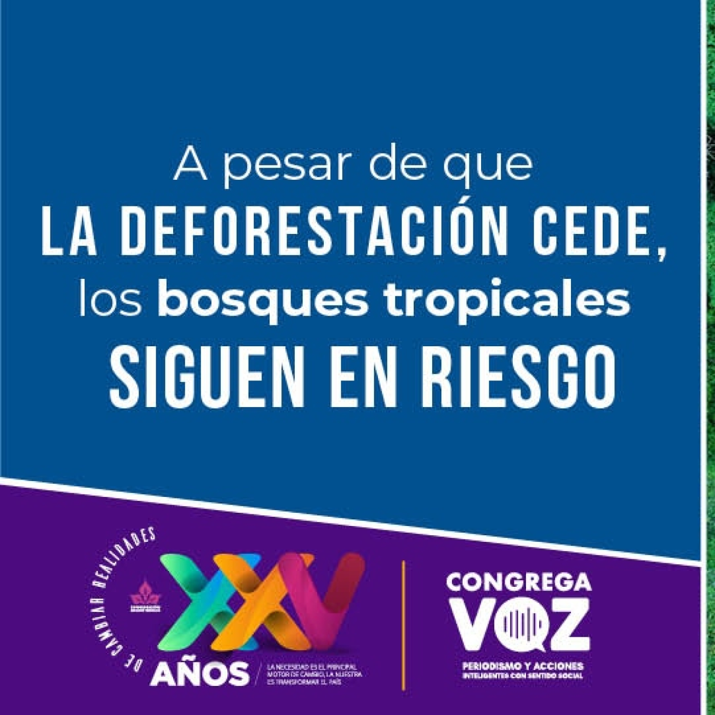 Podcast CMT - Congregavoz