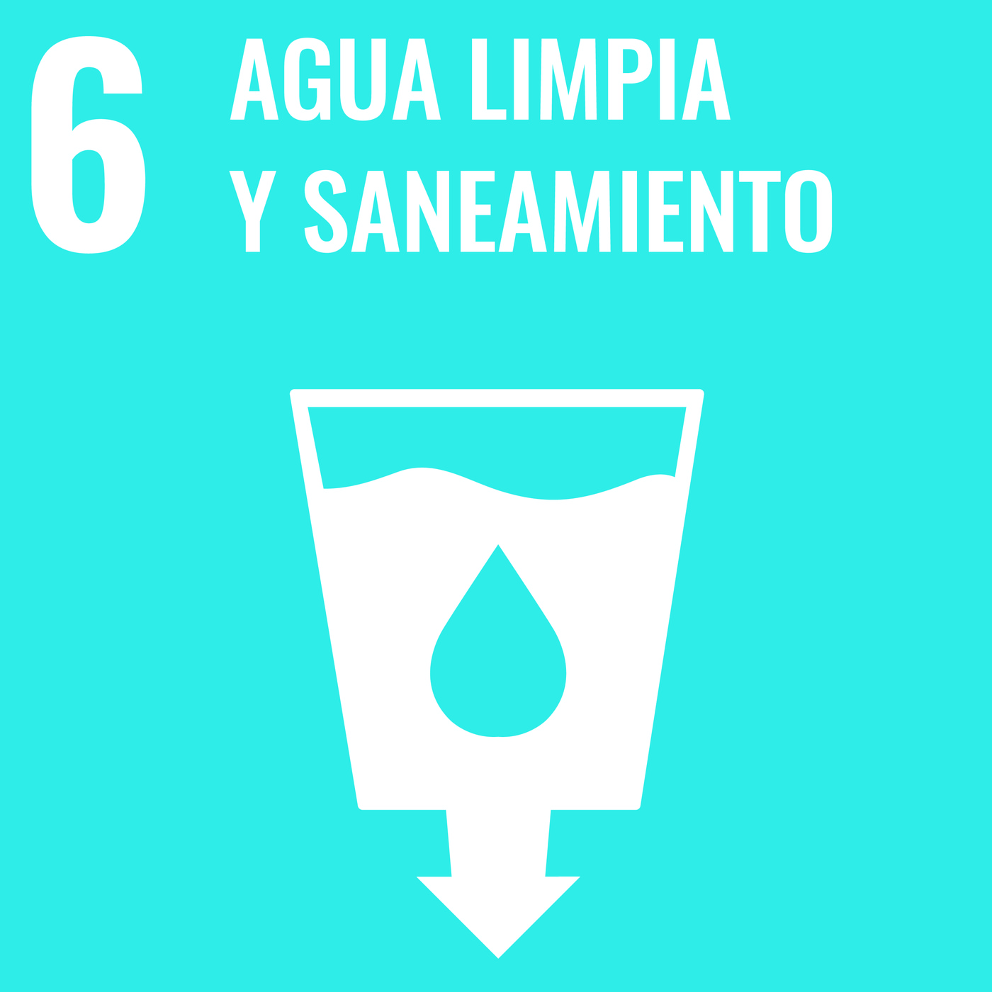 ¡SOS, ODS! 19/20